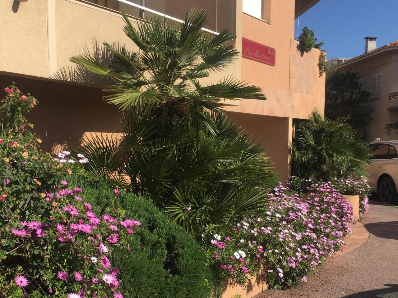Les Pins Maritimes Apartman Fréjus Kültér fotó